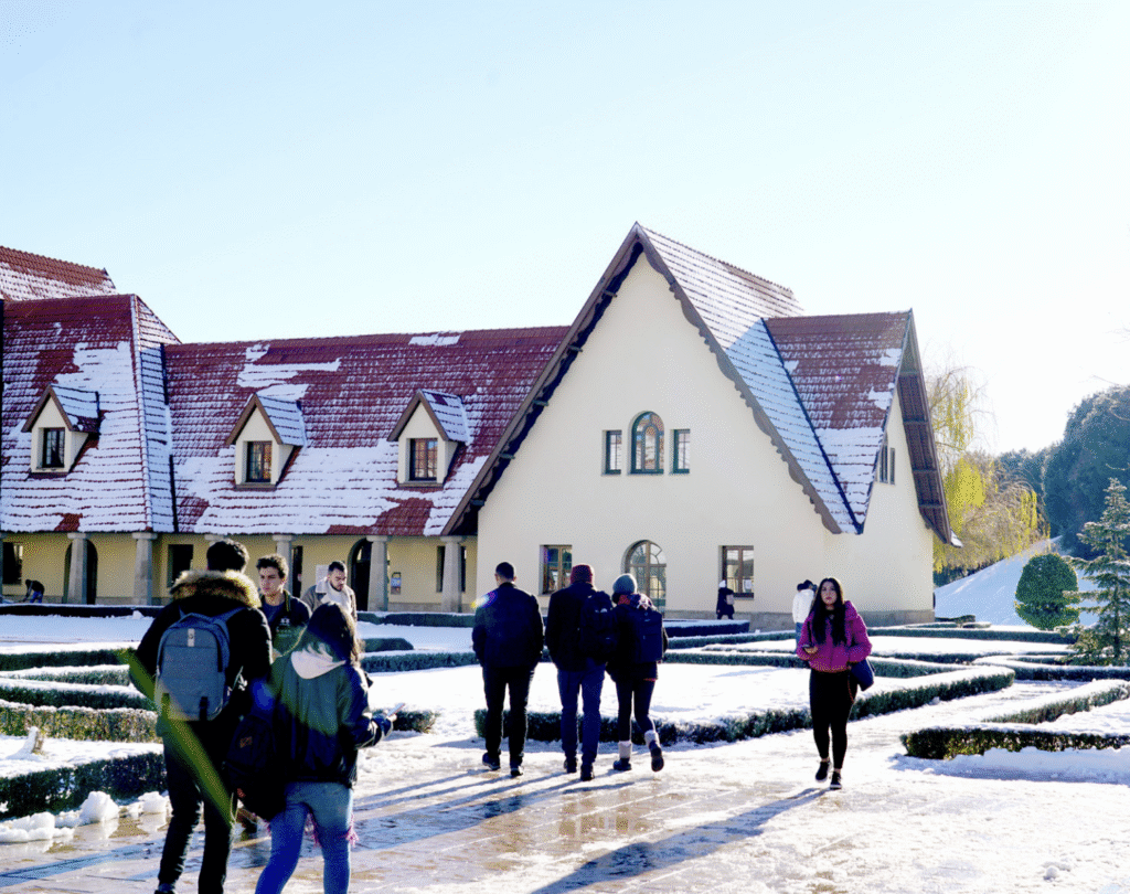 screenshot 2025 11 20 at 15.04.16